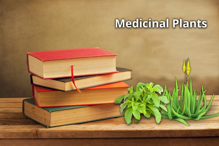 books on medicinal plant